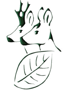 Auszier